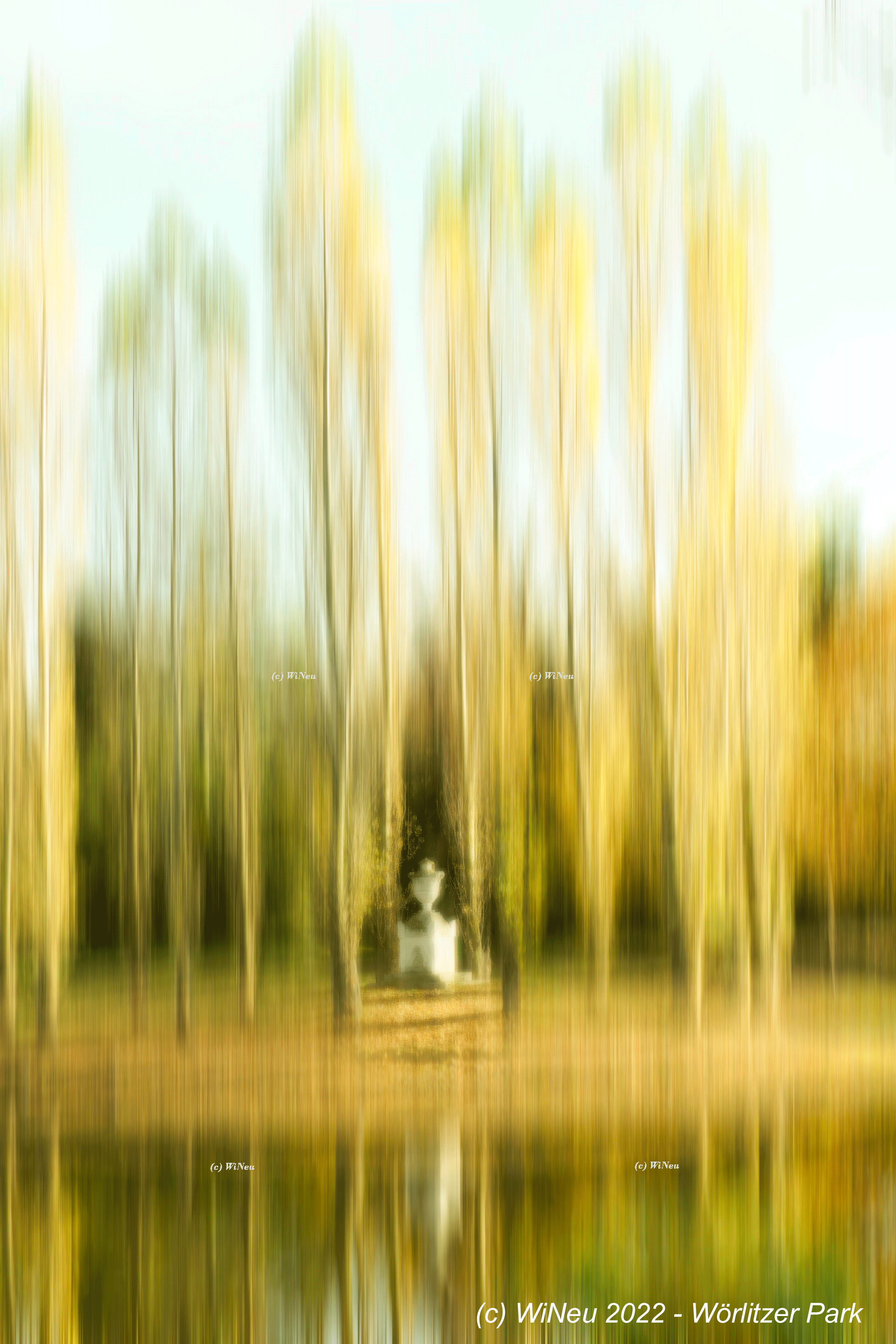 2022 Wörlitzer Park WiNeu