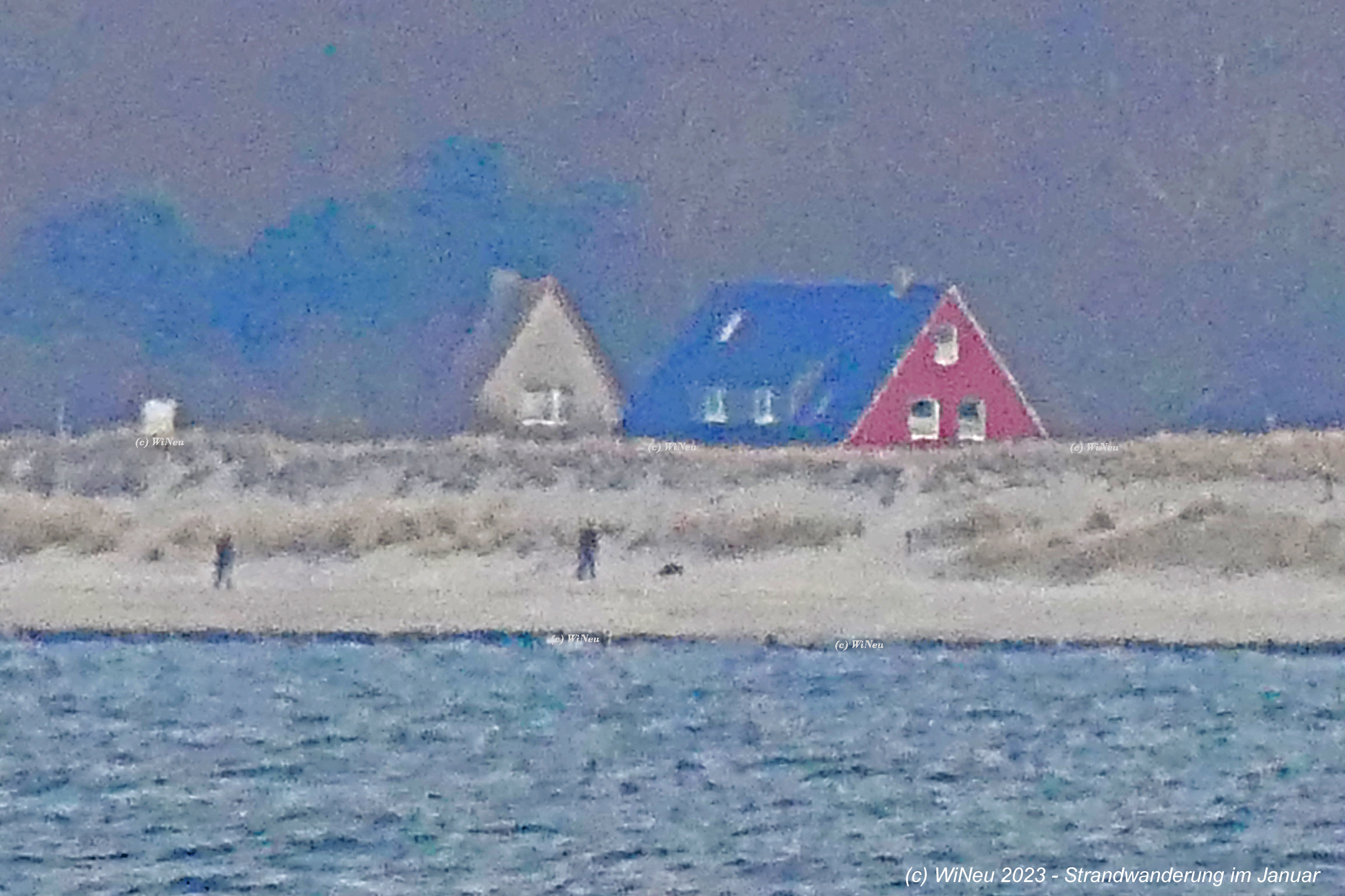2023 Strandwanderung-im-Januar WiNeu